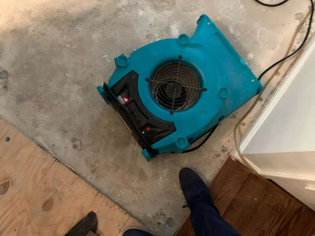 Air mover drying subfloor during Commercial Water Damage Restoration in Elkhorn